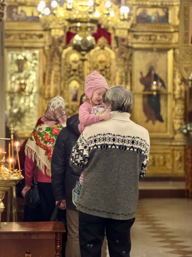 Свет мира и дружбы
