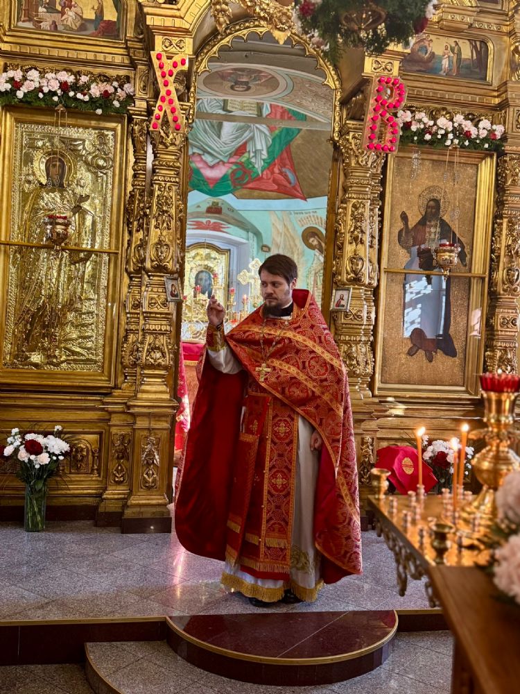 Наши гости